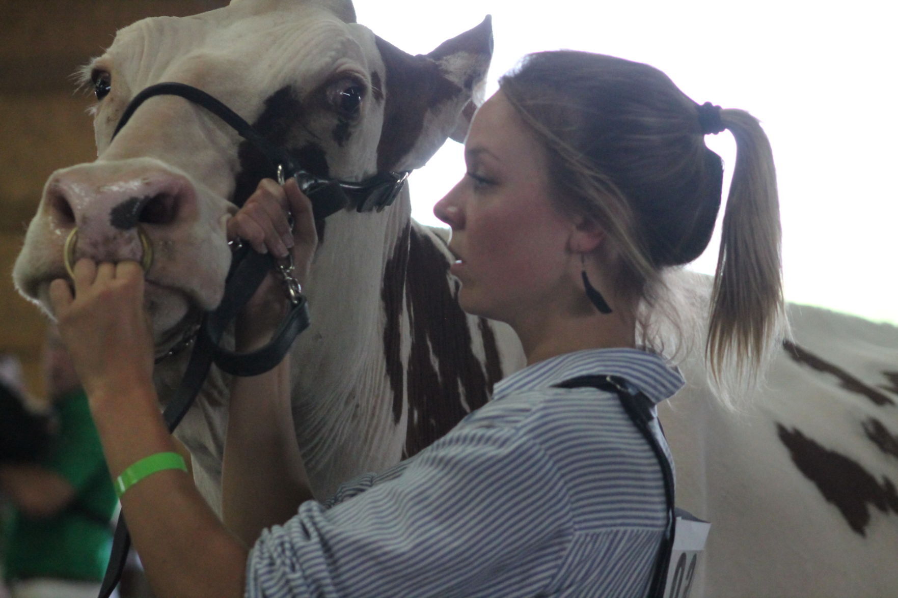 DC Fair Thursday